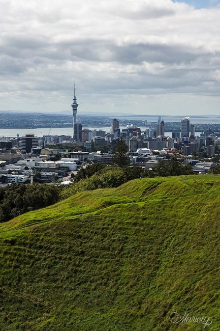 Vue sur Auckland depuis le Mount Eden