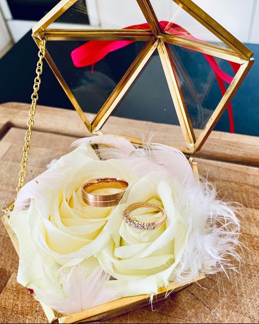 Elles sont enfin là 💍 - 3