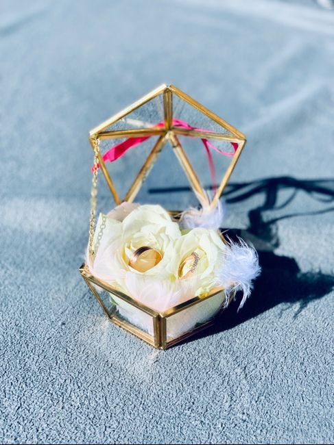 Elles sont enfin là 💍 - 5