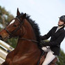 Anne-Laure