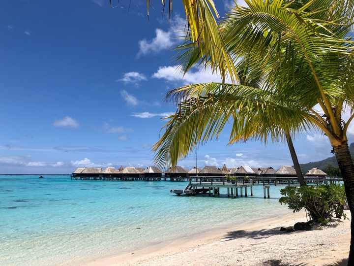 Lune de miel Polynésie Française ou Les Seychelles ? - 1