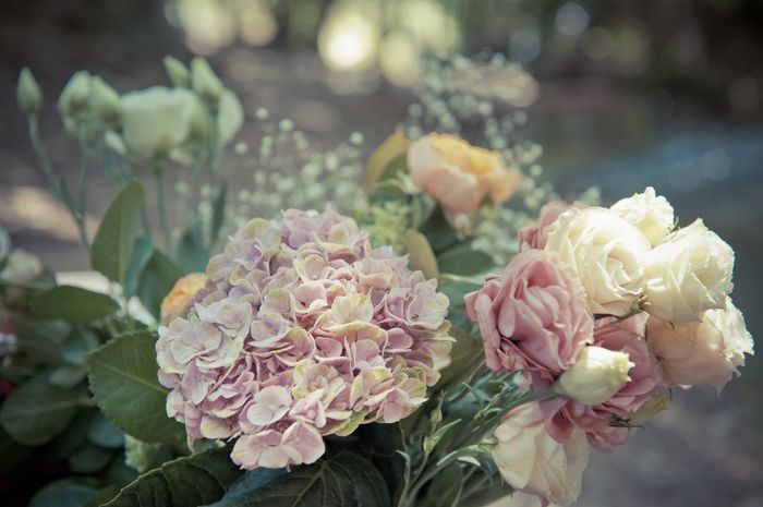 Fleurs