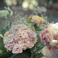 Fleurs