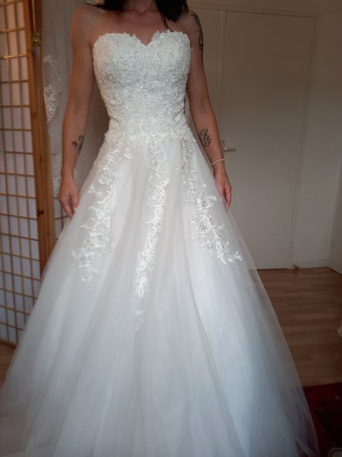Choix de la robe - 1