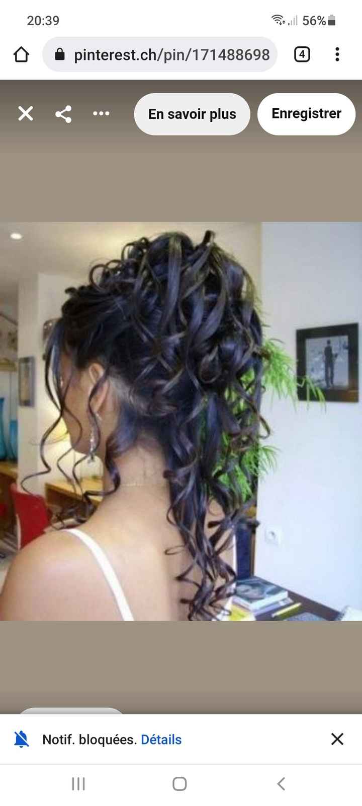 Essaie chignon - 1