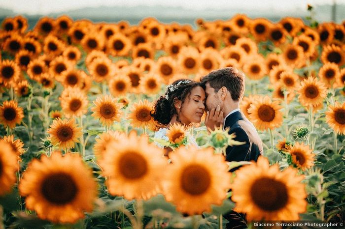 Une photo dans un champs de 🌻 ?! 1
