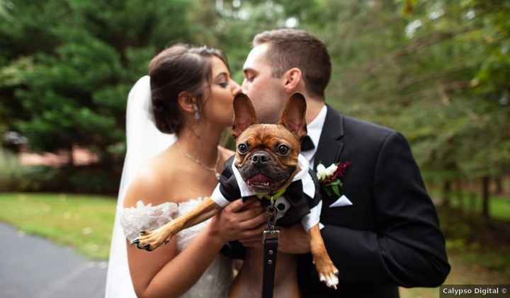 Une photo avec ton animal de compagnie ? 🐶 - 1