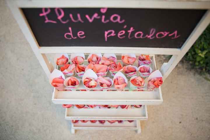 Des confettis végétaux et écolo ! Voici nos astuces ! 🎊 - 3