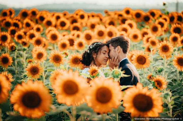 Une photo dans un champs de 🌻 ?! - 1