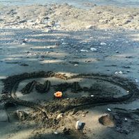  1 mois déjà... - 3