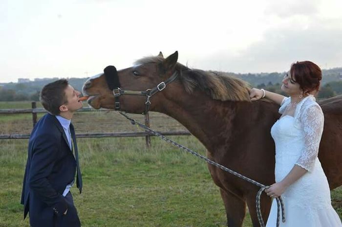 Y a-t-il des cavalières parmi vous? - 1