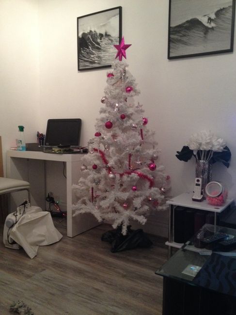 Mes loulous ont fait le sapin! - 1