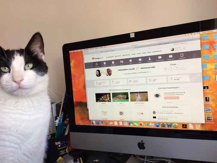 Notre Chat, fan de la page 
