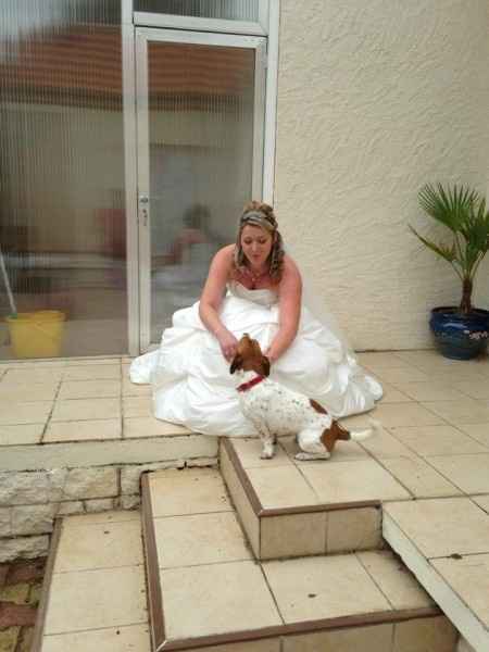 Et vos animaux, ils seront de la partie ? - 0