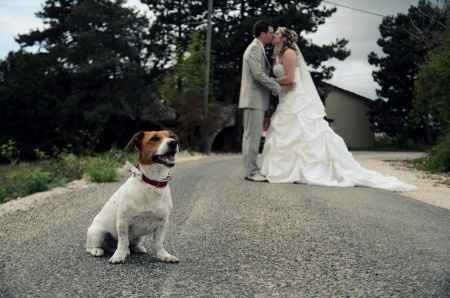 Le jour ou nous nous sommes dit oui ! 14/09/2013 - 1