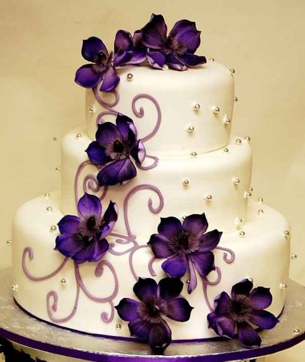 Le violet à l'honneur - 6