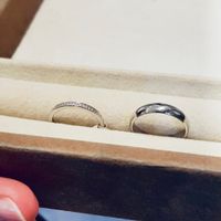 Alliances trouvées ! - 1