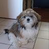 Courtin