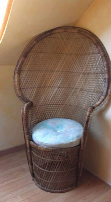 Fauteuil Emmanuelle déco tropical