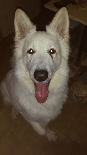Voici Djack, mon pluis grand fils, qui sera avec nous le jour J 