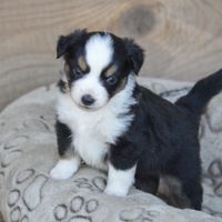 Plus que 3 semaines avant django - 1