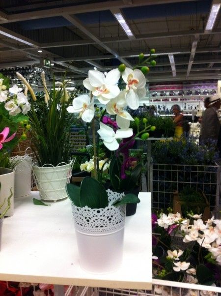 Nos centres de table "orchidées"