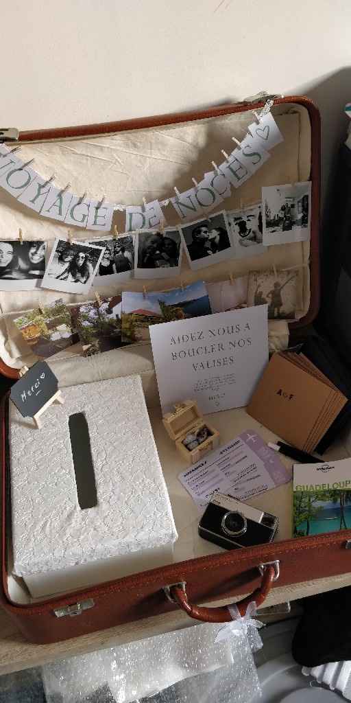 Mon urne valise - 2