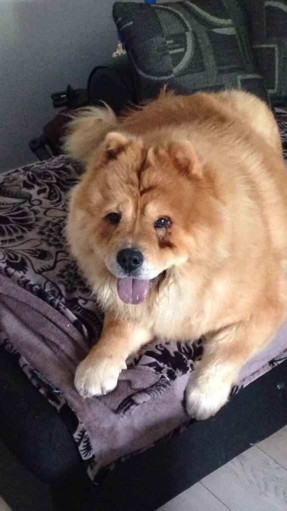 Une aide encombrante .. - 1