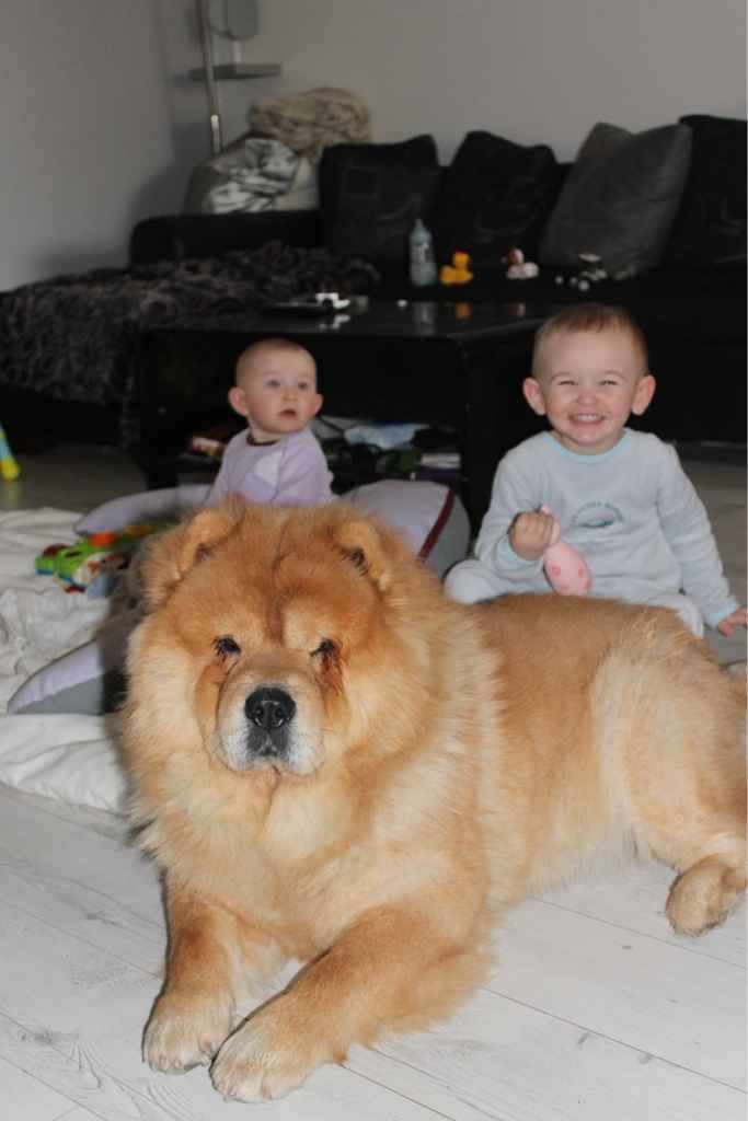 Nos amis les bêtes - 1