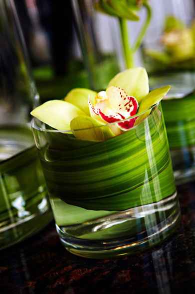 Deco île et tropique - 3