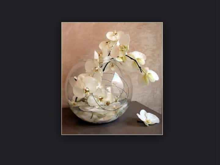 Deco île et tropique - 9