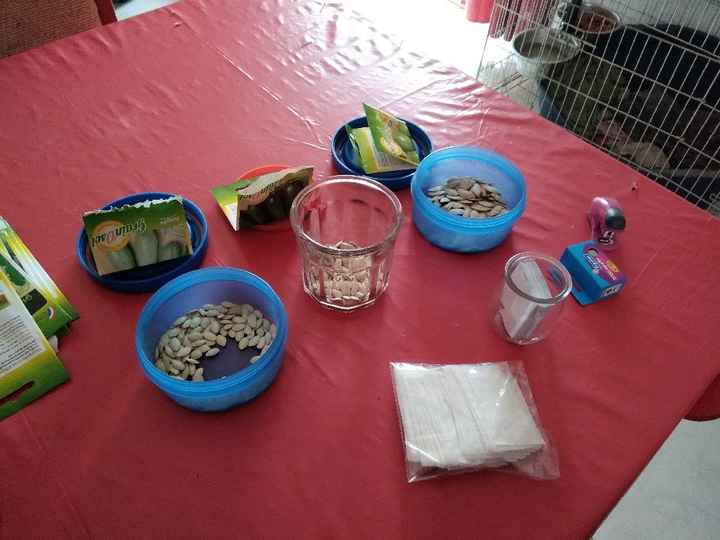 Mes sachets de graines - 1