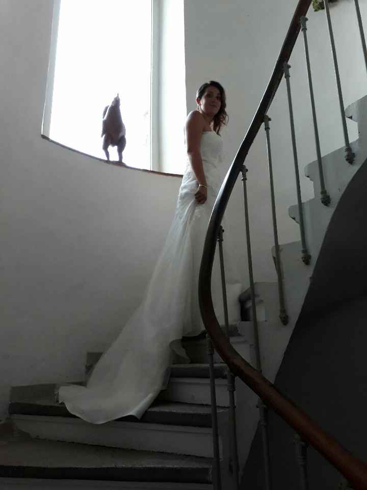 Un magnifique week-end - 6