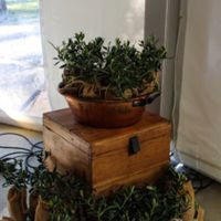 Cadeaux pour les invités - 1