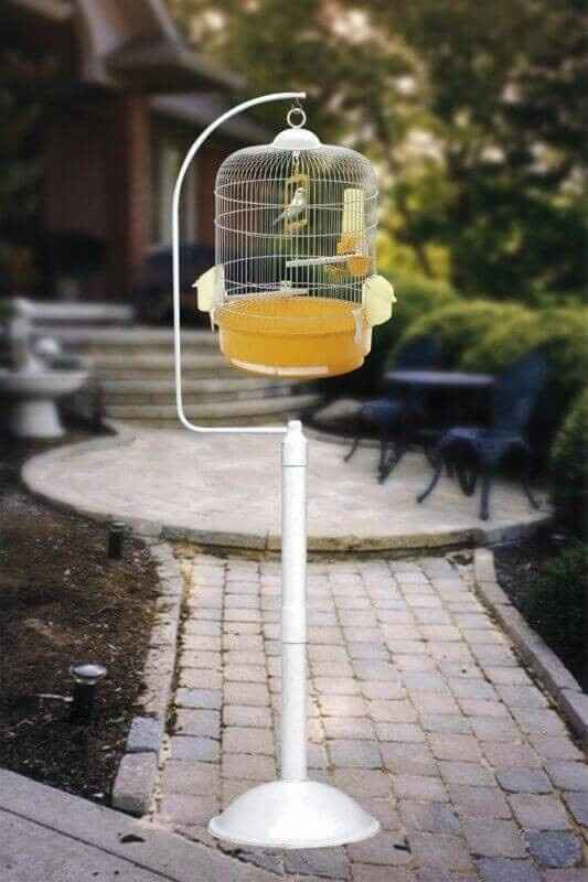 Pied cage oiseau