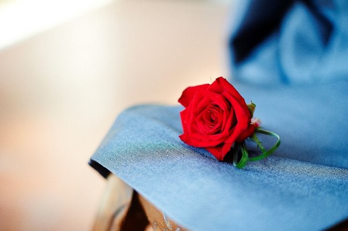 La boutonnière de mon mari, avec une rose rouge fraiche