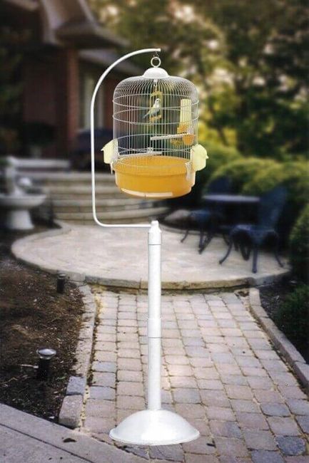 Pied cage oiseau