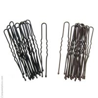 Epingles de mon chignon