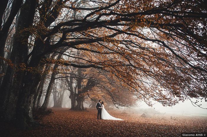 Des photos de mariage sous le signe de l'automne 🍂🧡 7