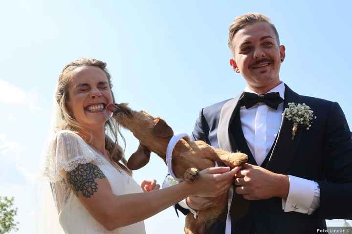 Des animaux à ton jour J ? 🐶 - 1