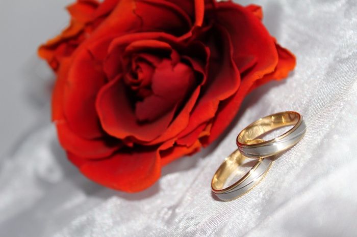 Nous les avons ♥♥