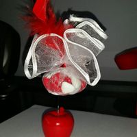 Pomme d'amour - 1