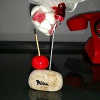 Pomme d'amour - 2