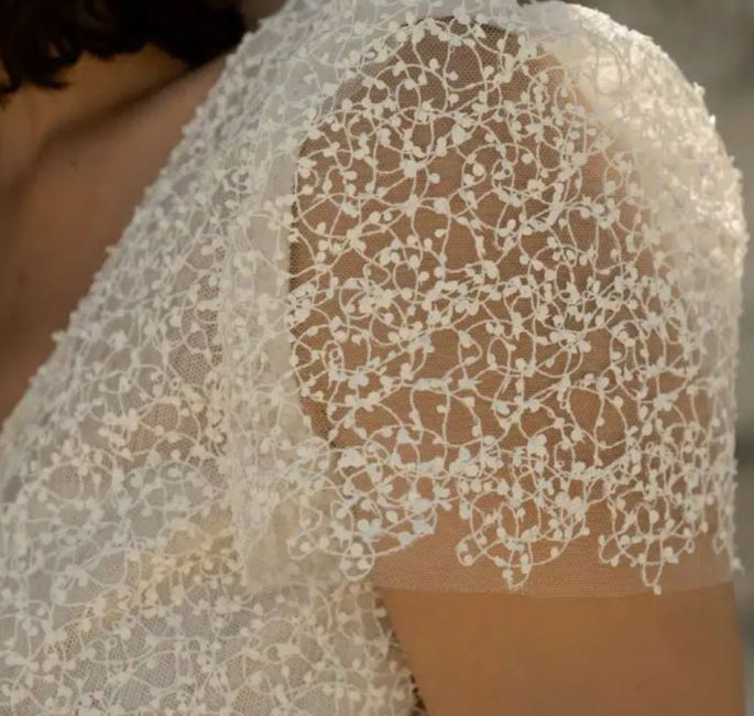 Tissu - cherche tissu tulle brodé (amarildine/rembo Styling) 1