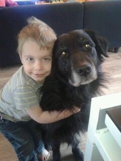 Notre chien Dinozzo enlacÃ© par notre fils Lorenzo