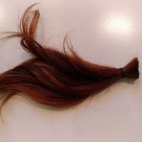 Don de ma queue de cheval + de 20cm