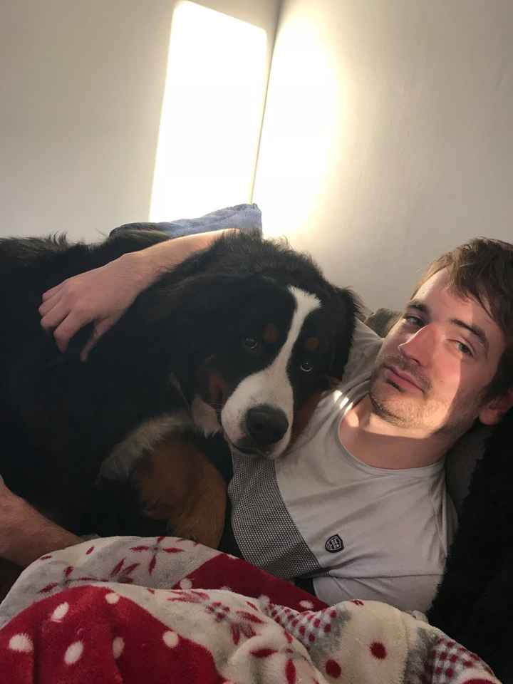 Et Vos Loulous quels places auront ils ? - 1