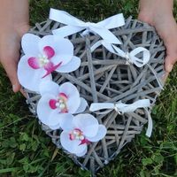 Le porte alliance......