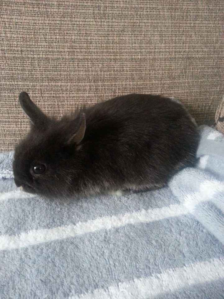 Votre statut du jour - exprimez-vous en quelques mots ! - 1