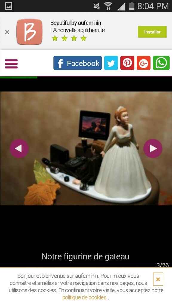 Es ce qu il y des mariages geeks - 1